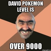 david pokemon level is over 9000