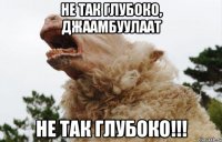 не так глубоко, джаамбуулаат не так глубоко!!!