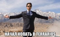  начал копать в terrarios