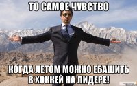 то самое чувство когда летом можно ебашить в хоккей на лидере!