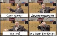 Одни гуляют Другие отдыхают А я что? А у меня Бит-Юнан!