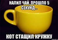 налил чай, прошло 5 секунд... кот стащил кружку