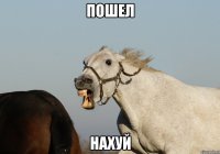 пошел нахуй