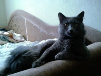 Создать мем Что смотришь