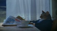 Все мемы i-should-buy-a-boat-cat