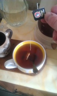 ну просто я победитель по жизни, Мем потому что я победитель по жизни