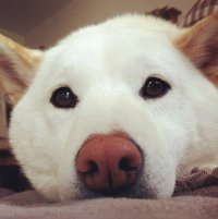 Создать мем скучашки