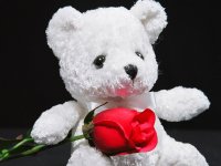 Создать мем This teddy