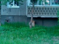 Создать мем Упртая коробка