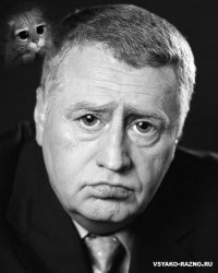 Создать мем жириновский