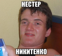 нестер никитенко