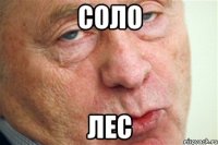 соло лес