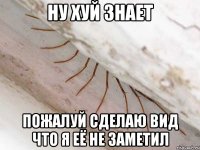 ну хуй знает пожалуй сделаю вид что я её не заметил