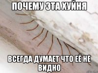 почему эта хуйня всегда думает что её не видно