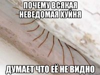 почему всякая неведомая хуйня думает что её не видно