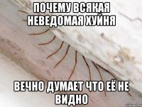 почему всякая неведомая хуйня вечно думает что её не видно