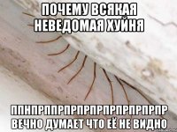 почему всякая неведомая хуйня ппнпрппрпрпрпрпрпрпрпрпр вечно думает что её не видно