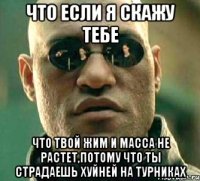 что если я скажу тебе что твой жим и масса не растет,потому что ты страдаешь хуйней на турниках