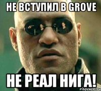 не вступил в grove не реал нига!