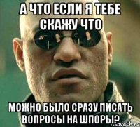 а что если я тебе скажу что можно было сразу писать вопросы на шпоры?