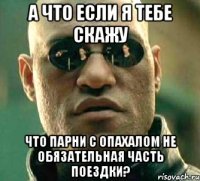 а что если я тебе скажу что парни с опахалом не обязательная часть поездки?