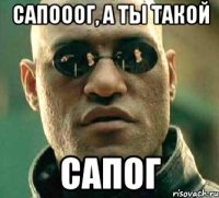 сапооог, а ты такой сапог