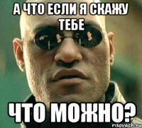 а что если я скажу тебе что можно?