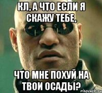 кл, а что если я скажу тебе, что мне похуй на твои осады?