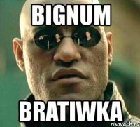 bignum bratiwka