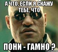 а что, если я скажу тебе, что пони - гамно ?