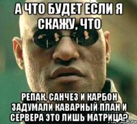 а что будет если я скажу, что репак, санчез и карбон задумали каварный план и сервера это лишь матрица?