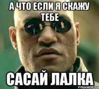 а что если я скажу тебе сасай лалка