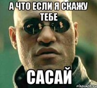 а что если я скажу тебе сасай