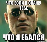 что если я скажу тебе что я ебался