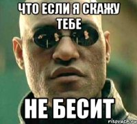 что если я скажу тебе не бесит