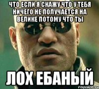 что если я скажу что у тебя ничего не получается на велике потому что ты лох ебаный