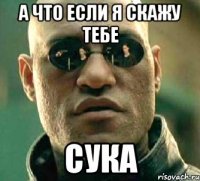 а что если я скажу тебе сука