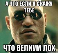 а что если я скажу тебе что велиум лох