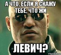 а что, если я скажу тебе, что жи левич?