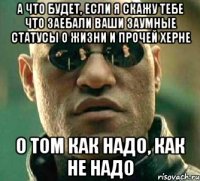 а что будет, если я скажу тебе что заебали ваши заумные статусы о жизни и прочей херне о том как надо, как не надо