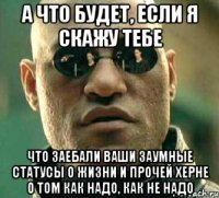 а что будет, если я скажу тебе что заебали ваши заумные статусы о жизни и прочей херне о том как надо, как не надо