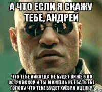 а что если я скажу тебе, андрей что тебе никогда не будет ниже 6 по островской и ты можешь не ебать ебе голову что тебе будет хуёвая оценка