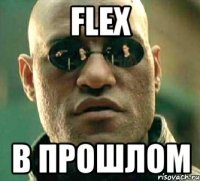 flex в прошлом