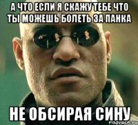 а что если я скажу тебе что ты можешь болеть за панка не обсирая сину