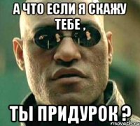 а что если я скажу тебе , ты придурок ?