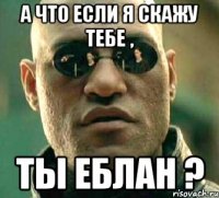 а что если я скажу тебе , ты еблан ?