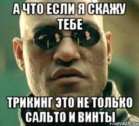 а что если я скажу тебе трикинг это не только сальто и винты