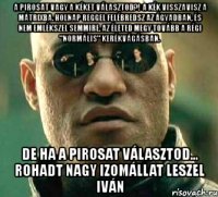 a pirosat vagy a kéket választod?! a kék visszavisz a mátrixba. holnap reggel felébredsz az ágyadban, és nem emlékszel semmire. az életed megy tovább a régi "normális" kerékvágásban. de ha a pirosat választod... rohadt nagy izomállat leszel iván