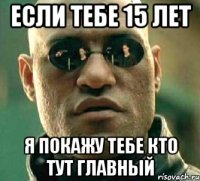 если тебе 15 лет я покажу тебе кто тут главный