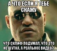 а что если я тебе скажу что склиф подумал, что это не шутка, а реальное видео?